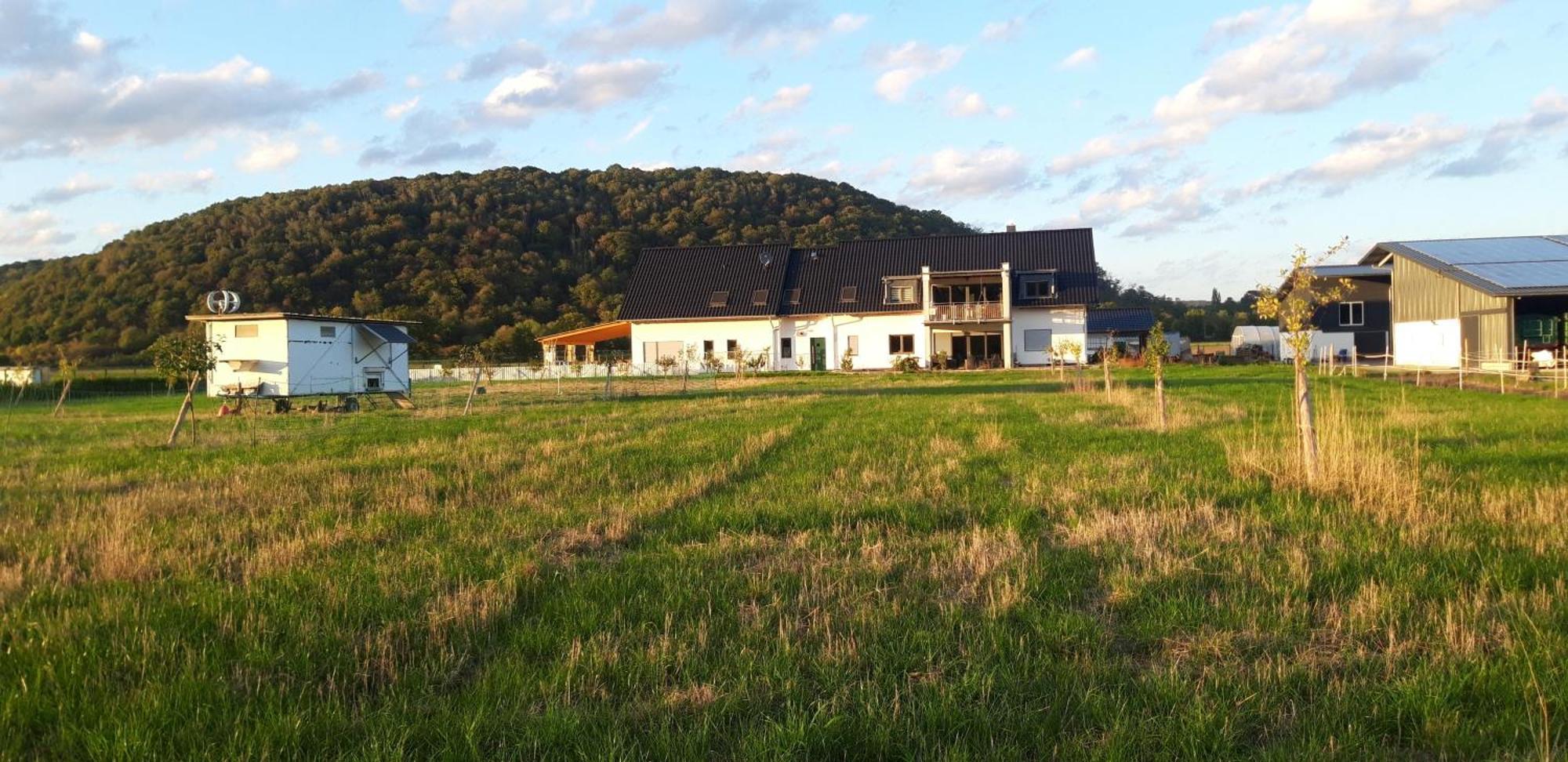 Ferienwohnung Wilhelmshof Sinzig Exterior foto
